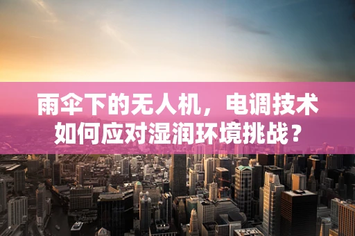 雨伞下的无人机，电调技术如何应对湿润环境挑战？