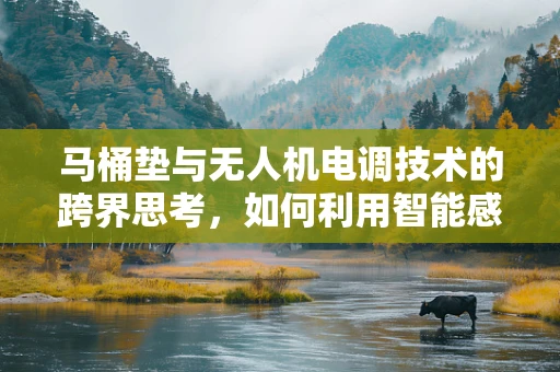 马桶垫与无人机电调技术的跨界思考，如何利用智能感应优化飞行稳定性？