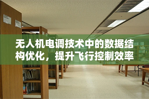无人机电调技术中的数据结构优化，提升飞行控制效率的关键