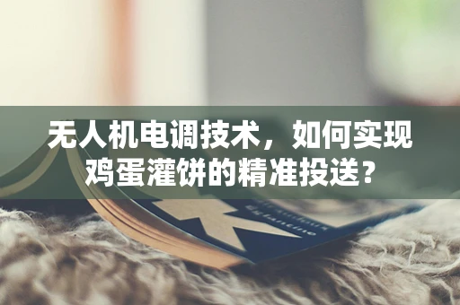 无人机电调技术，如何实现鸡蛋灌饼的精准投送？