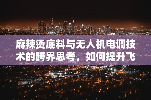 麻辣烫底料与无人机电调技术的跨界思考，如何提升飞行器性能的‘秘制配方’？