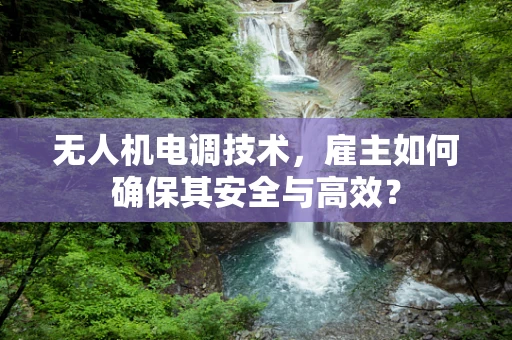 无人机电调技术，雇主如何确保其安全与高效？