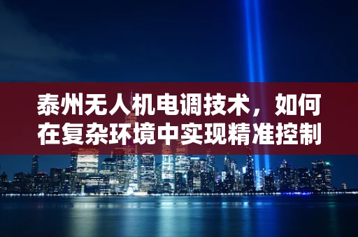 泰州无人机电调技术，如何在复杂环境中实现精准控制？