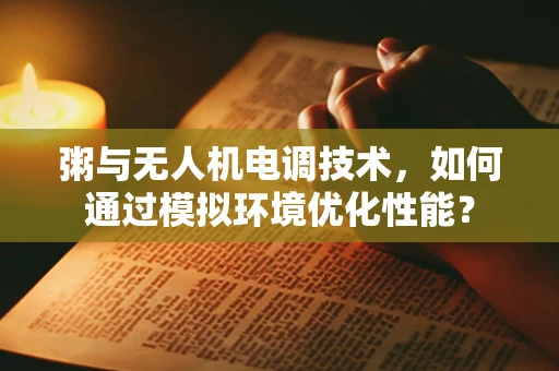 粥与无人机电调技术，如何通过模拟环境优化性能？