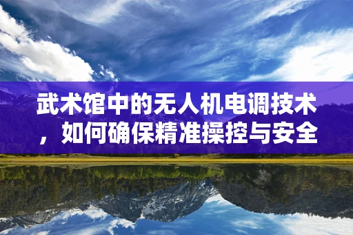 武术馆中的无人机电调技术，如何确保精准操控与安全？