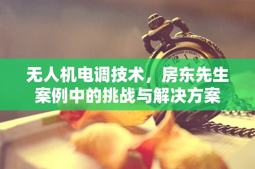 无人机电调技术，房东先生案例中的挑战与解决方案