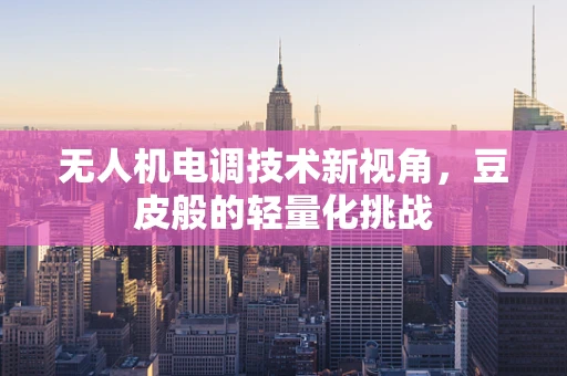 无人机电调技术新视角，豆皮般的轻量化挑战
