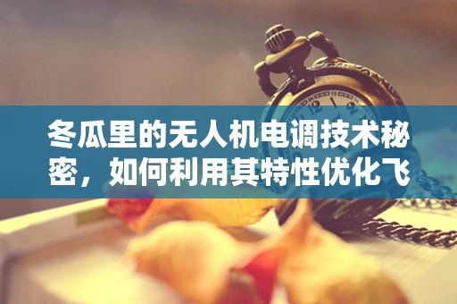 冬瓜里的无人机电调技术秘密，如何利用其特性优化飞行稳定性？