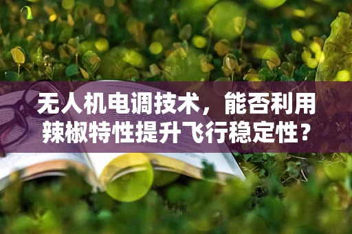 无人机电调技术，能否利用辣椒特性提升飞行稳定性？