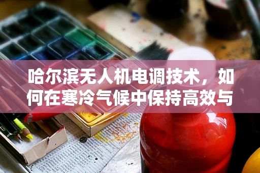 哈尔滨无人机电调技术，如何在寒冷气候中保持高效与稳定？
