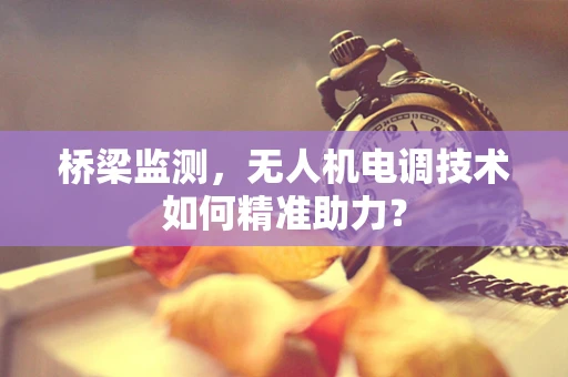桥梁监测，无人机电调技术如何精准助力？
