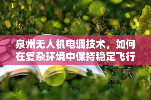 泉州无人机电调技术，如何在复杂环境中保持稳定飞行？