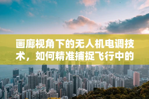 画廊视角下的无人机电调技术，如何精准捕捉飞行中的艺术瞬间？