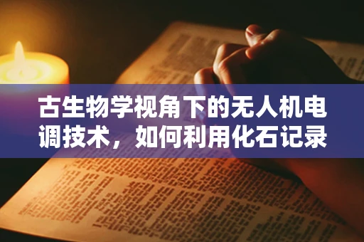 古生物学视角下的无人机电调技术，如何利用化石记录优化飞行控制？