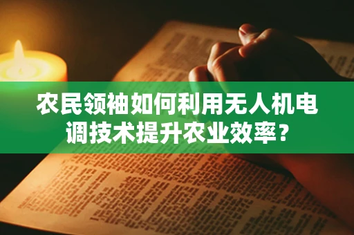 农民领袖如何利用无人机电调技术提升农业效率？