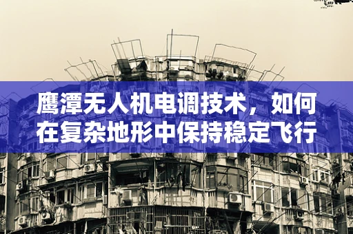 鹰潭无人机电调技术，如何在复杂地形中保持稳定飞行？
