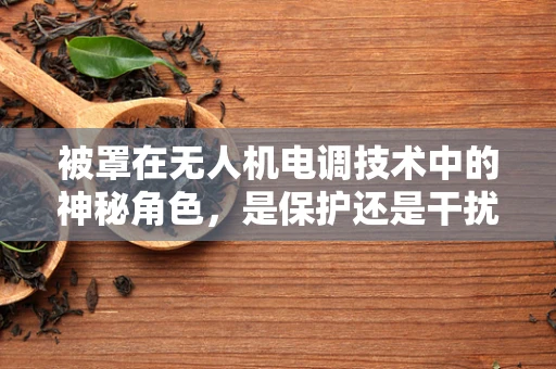 被罩在无人机电调技术中的神秘角色，是保护还是干扰？