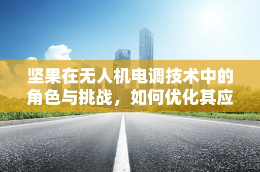 坚果在无人机电调技术中的角色与挑战，如何优化其应用？