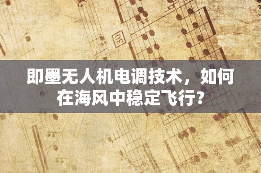 即墨无人机电调技术，如何在海风中稳定飞行？