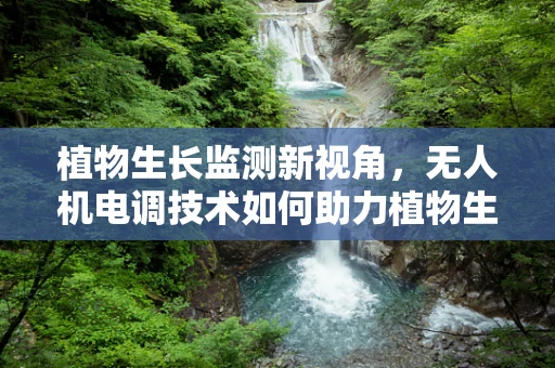 植物生长监测新视角，无人机电调技术如何助力植物生物学研究？