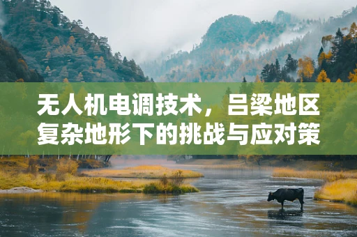 无人机电调技术，吕梁地区复杂地形下的挑战与应对策略