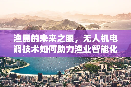 渔民的未来之眼，无人机电调技术如何助力渔业智能化？