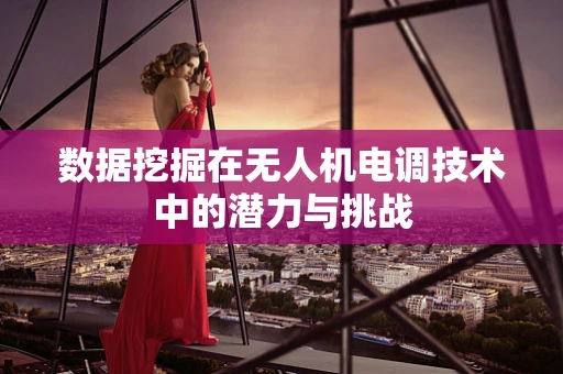 数据挖掘在无人机电调技术中的潜力与挑战