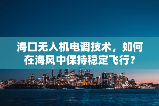海口无人机电调技术，如何在海风中保持稳定飞行？