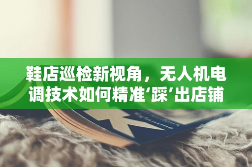 鞋店巡检新视角，无人机电调技术如何精准‘踩’出店铺健康状态？