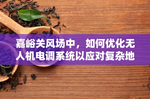 嘉峪关风场中，如何优化无人机电调系统以应对复杂地形挑战？