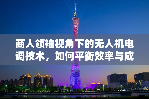 商人领袖视角下的无人机电调技术，如何平衡效率与成本？