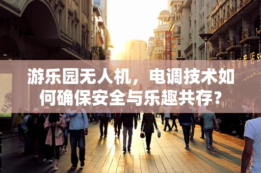 游乐园无人机，电调技术如何确保安全与乐趣共存？