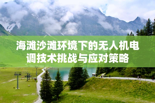 海滩沙滩环境下的无人机电调技术挑战与应对策略