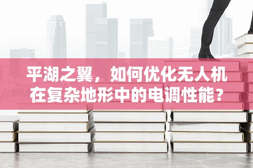 平湖之翼，如何优化无人机在复杂地形中的电调性能？
