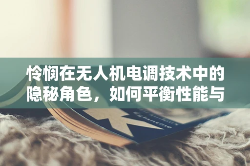 怜悯在无人机电调技术中的隐秘角色，如何平衡性能与伦理考量？