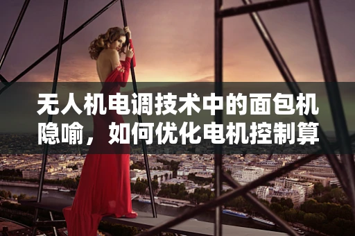 无人机电调技术中的面包机隐喻，如何优化电机控制算法以提升飞行稳定性？