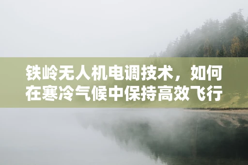 铁岭无人机电调技术，如何在寒冷气候中保持高效飞行？