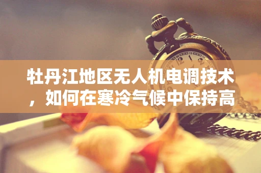 牡丹江地区无人机电调技术，如何在寒冷气候中保持高效飞行？