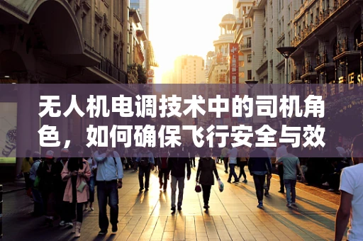 无人机电调技术中的司机角色，如何确保飞行安全与效率？
