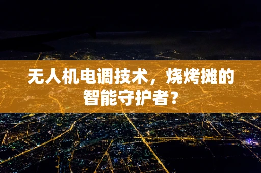 无人机电调技术，烧烤摊的智能守护者？