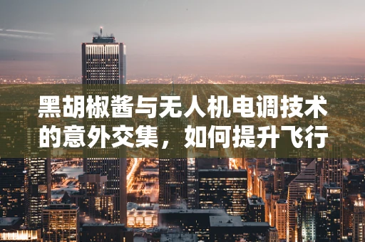 黑胡椒酱与无人机电调技术的意外交集，如何提升飞行稳定性？