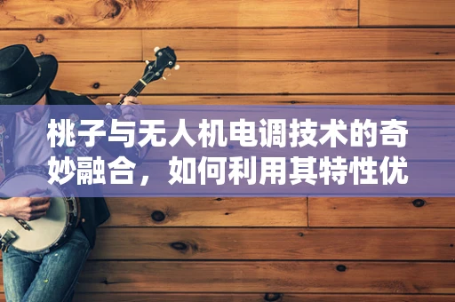 桃子与无人机电调技术的奇妙融合，如何利用其特性优化飞行稳定性？