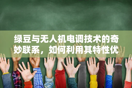 绿豆与无人机电调技术的奇妙联系，如何利用其特性优化飞行稳定性？