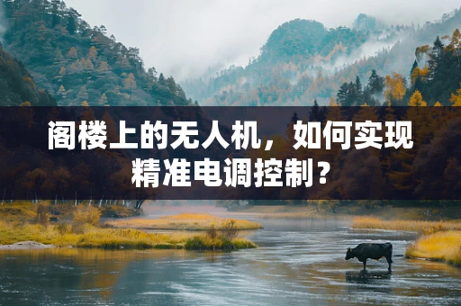 阁楼上的无人机，如何实现精准电调控制？