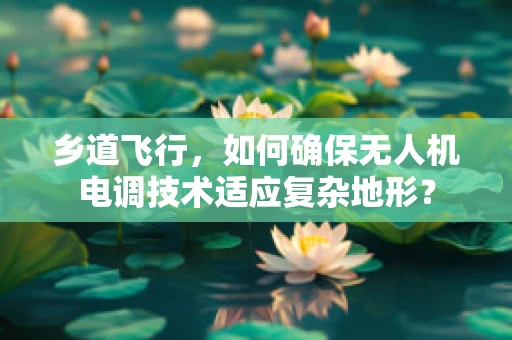 乡道飞行，如何确保无人机电调技术适应复杂地形？