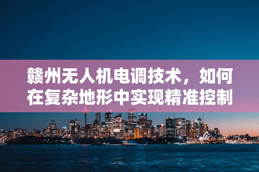 赣州无人机电调技术，如何在复杂地形中实现精准控制？