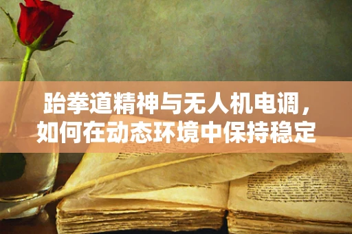 跆拳道精神与无人机电调，如何在动态环境中保持稳定飞行？