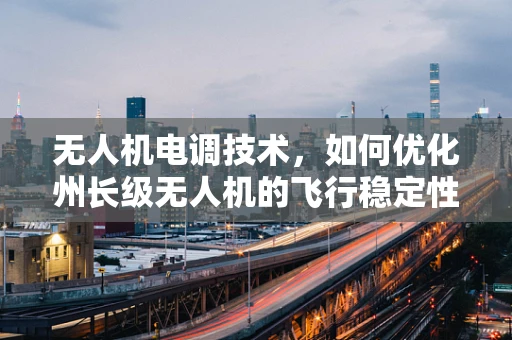 无人机电调技术，如何优化州长级无人机的飞行稳定性？