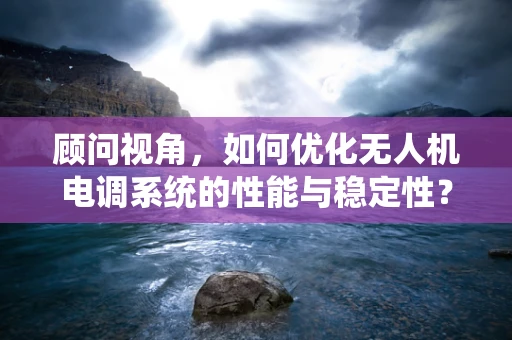 顾问视角，如何优化无人机电调系统的性能与稳定性？