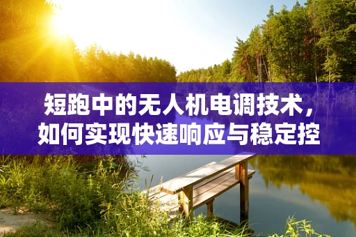 短跑中的无人机电调技术，如何实现快速响应与稳定控制？
